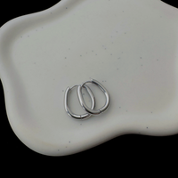 LU earrings